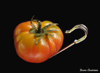 una_taza_de_tomate_by_josune___2010